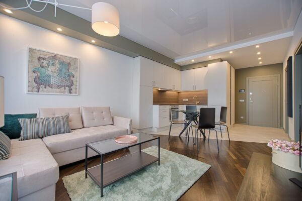 pexels-vecislavas-popa-1643383 pexels-vecislavas-popa-1643383